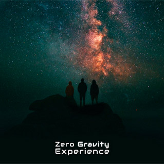 Zero Gravity Experience